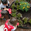 Niños y niñas explorando la huerta en el Summer Camp Montessori de Bilbao, aprendiendo sobre naturaleza y sostenibilidad.